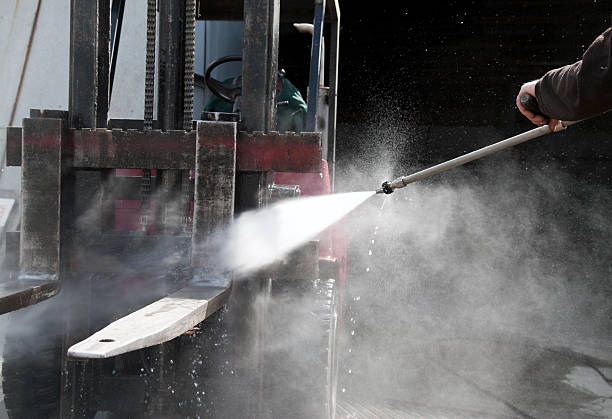 Best Spring Cleaning  in Chenoa, IL